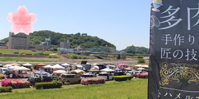 ,多肉推祭初開催,推して推されて推しをみつけて,2024年5月3日開催,栃木県足利市中橋緑地北多目的広場,ボタニカルフェス,キッチンカー,手作り市,栃木県イベント,栃木県マルシェ,植物イベント,主催株式会社多肉永遠