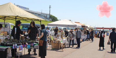 ,多肉推祭初開催,推して推されて推しをみつけて,2024年5月3日開催,栃木県足利市中橋緑地北多目的広場,ボタニカルフェス,キッチンカー,手作り市,栃木県イベント,栃木県マルシェ,植物イベント,主催株式会社多肉永遠