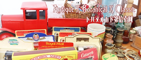 トハメルカド第11回2025年10月26日イベント風景,栃木県足利市中橋緑地北多目的広場,会場様子,ボタニカルマルシェ,株式会社多肉永遠