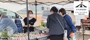 トハメルカド第11回2025年10月26日イベント風景,栃木県足利市中橋緑地北多目的広場,アンティークマルシェ,植物イベント,,株式会社多肉永遠