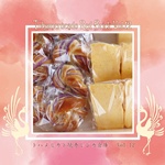 ベーカリーカフェアクアマリン,2025年12月28日開催,ボタニカルフェス,トハメルカド,境赤レンガ倉庫,第12回,手作り市,伊勢崎市イベント,群馬県マルシェ,植物イベント