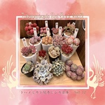 RAHAMOUTO,2025年12月28日開催,ボタニカルフェス,トハメルカド,境赤レンガ倉庫,第12回,手作り市,伊勢崎市イベント,群馬県マルシェ,植物イベント