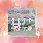 ペインティングスタジオTANPOPO,2025年12月28日開催,ボタニカルフェス,トハメルカド,境赤レンガ倉庫,第12回,手作り市,伊勢崎市イベント,群馬県マルシェ,植物イベント