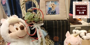 atelier chamaru,2025年12月28日開催,ボタニカルフェス,トハメルカド,境赤レンガ倉庫,第12回,手作り市,伊勢崎市イベント,群馬県マルシェ,植物イベント,主催株式会社多肉永遠