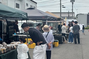 屋外の様子