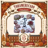 多肉屋YOU&ME工房 健神療術治療院