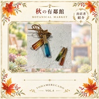 craft Chicory