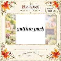 gattino park